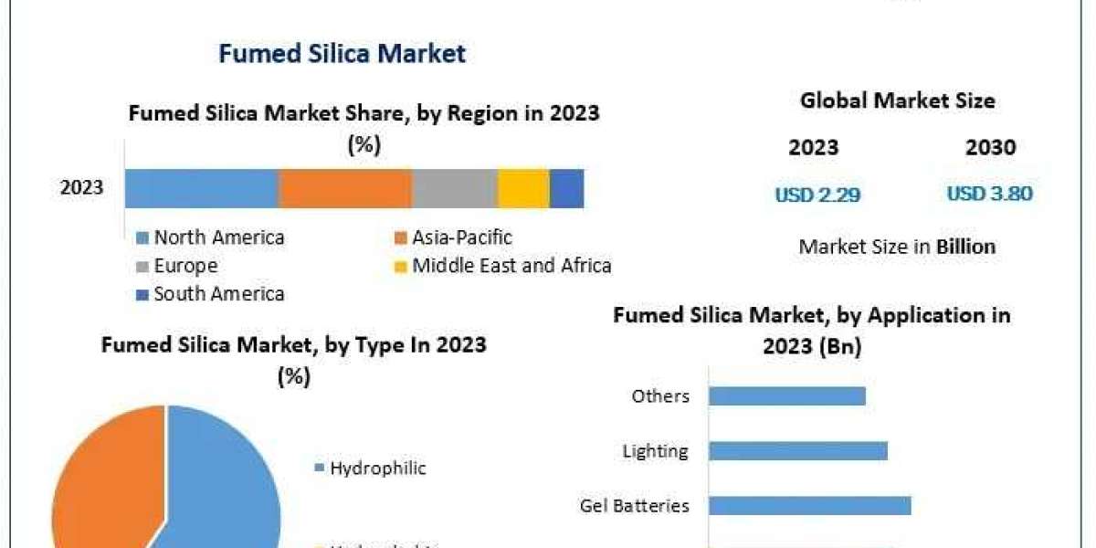 Fumed Silica Market Development Key Insights, Forecast 2024–2030