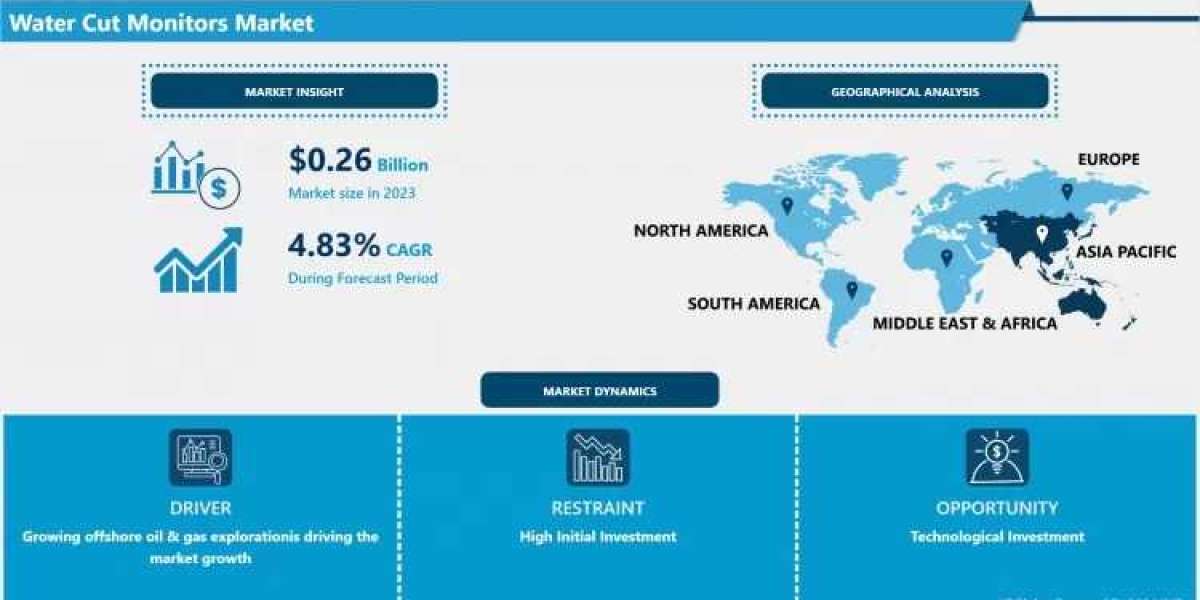 Water Cut Monitors Market Market Overview, Developments & Forecast (2024-2032)