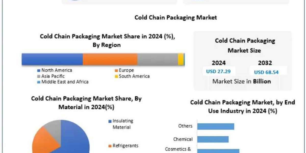 Cold Chain Packaging Market Comprehensive Research and Forecast 2025-2032
