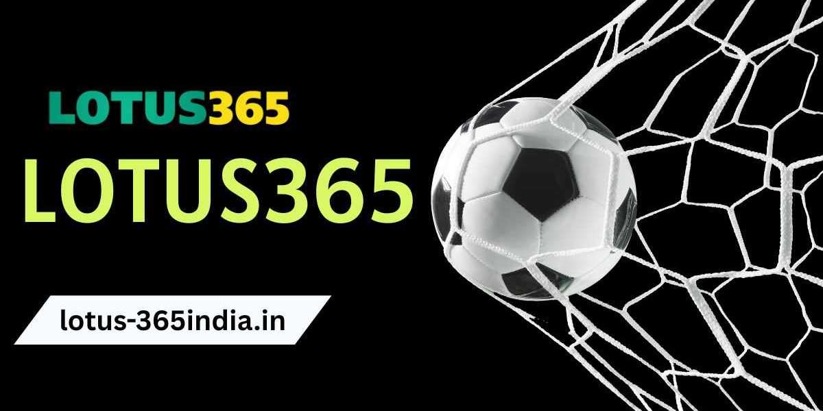 Cricket Fever: IPL and International Matches on Lotus 365 Explained