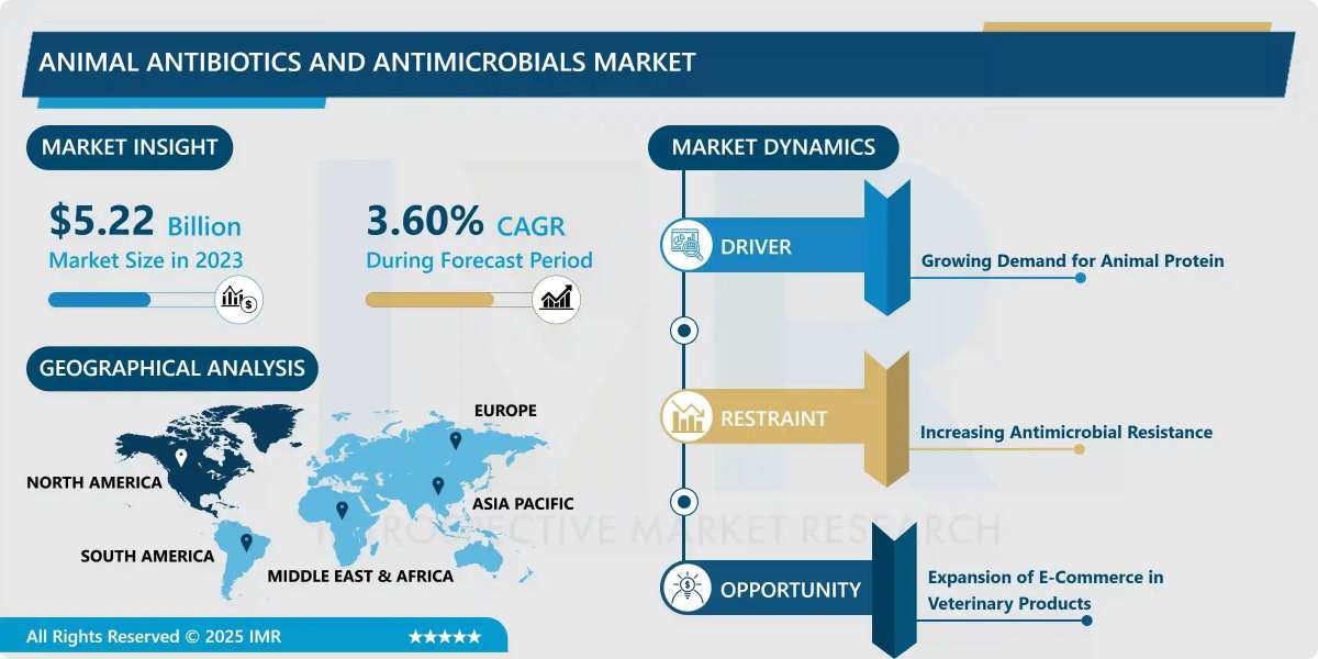 Animal Antibiotics and Antimicrobials Market Size, Share, Growth Opportunities & Forecast Report (2024-2032)