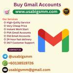 USA Big SMM