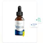 Echo Xen