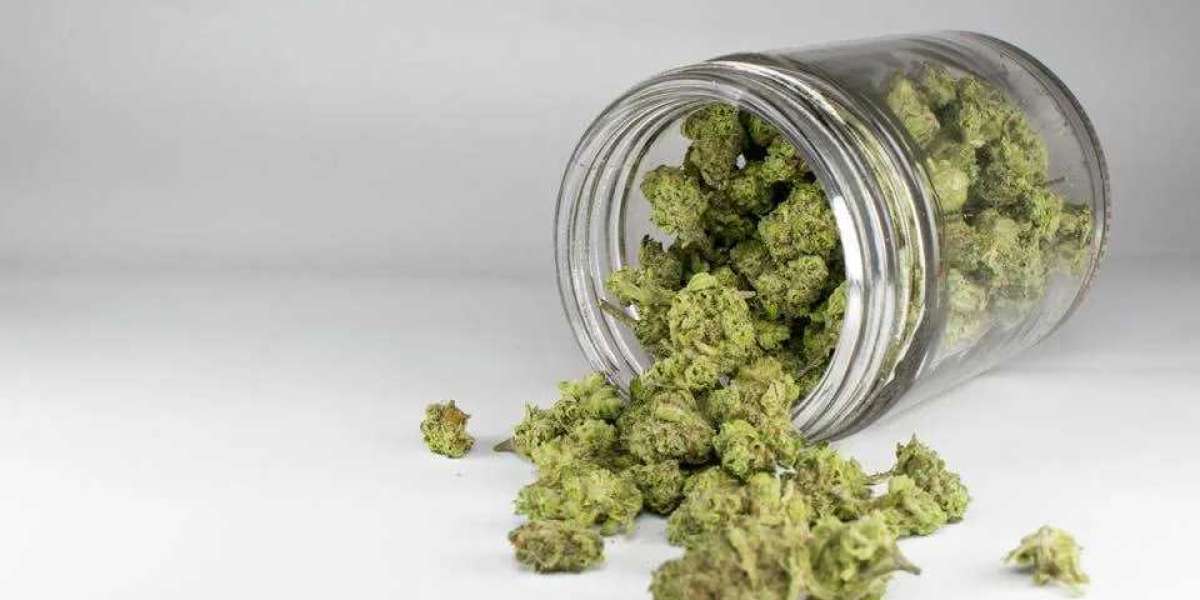 Cannabis 21: Best Dispensary in Aberdeen, WA for Adults 21+
