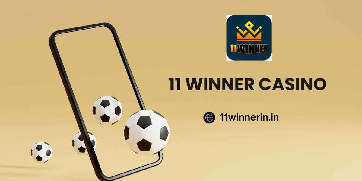 How to Enjoy Every Cricket Match on 11 Winner: A Fan’s Match Day Guide