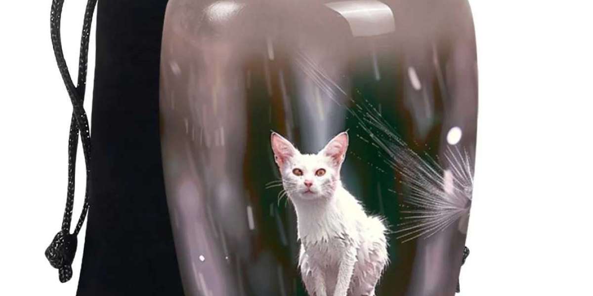 Finding Comfort Through Memorials: Honoring Loved Ones and Pets