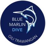 Blue Marlin Dive Gili Trawangan