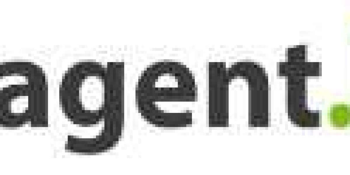 Great Experience with Agent.biz