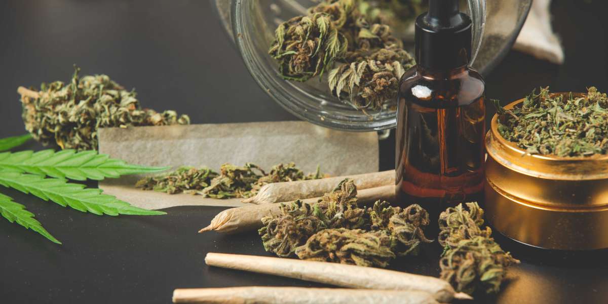 Cannabis Dispensary Near Me – Your Complete Guide to Finding the Best Local Shop