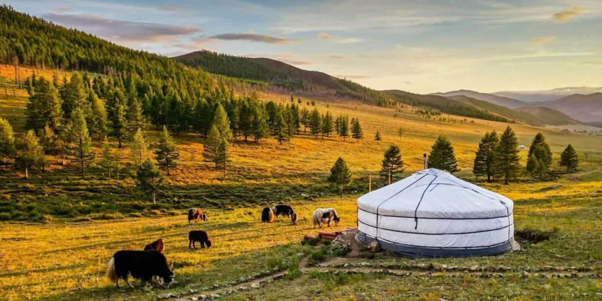 Quick Guide to Mongolia eVisa 2025