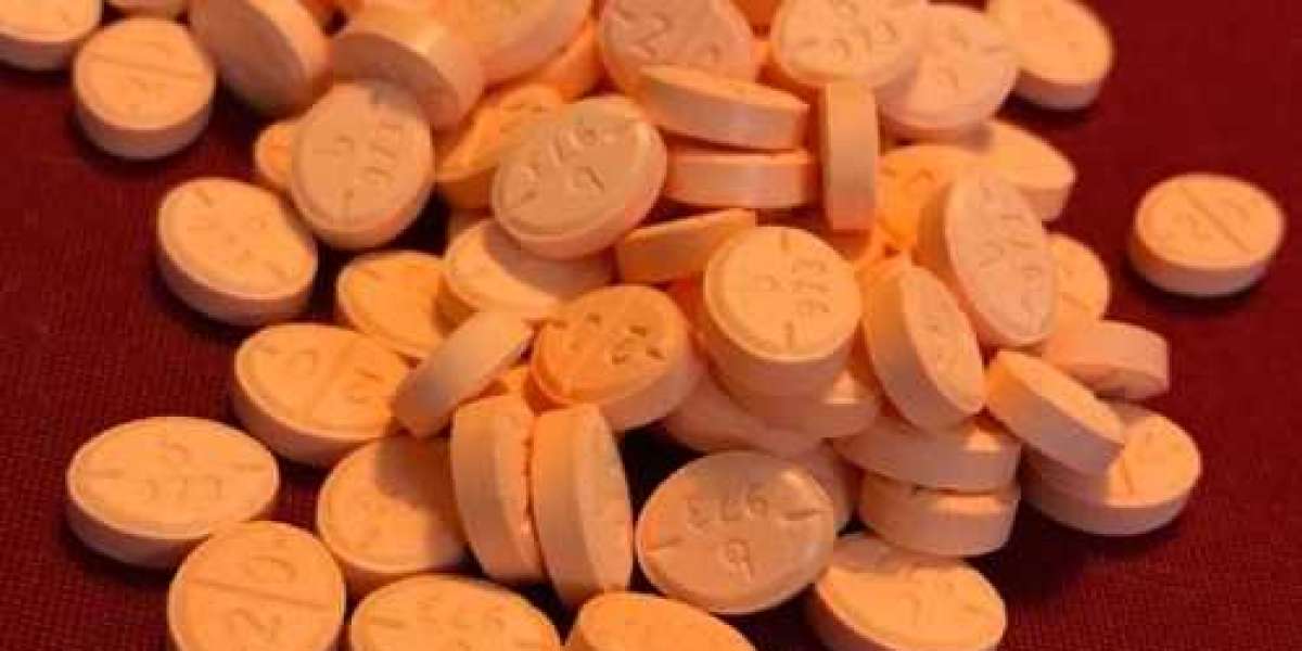 Buy Adderall Online Legally – Top-Rated Pharmacy at Your Service