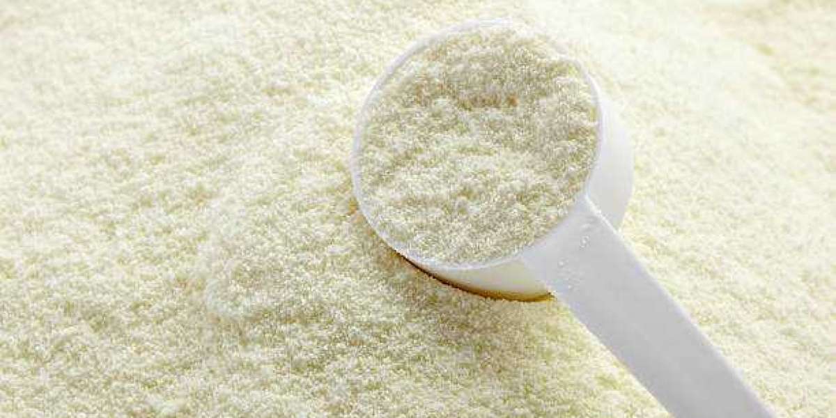 Baby Food Infant Formula Market Insights by Region and Key Players