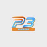 P3