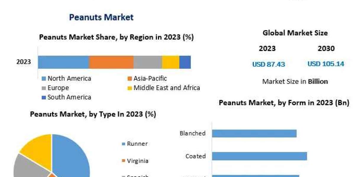 Rising Demand: An Analysis of the Global Peanut Industry Growth Trajectory Through 2030