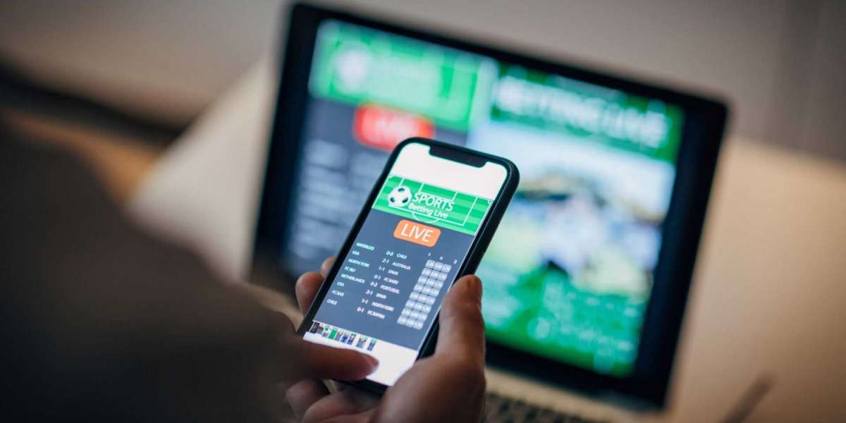 How Regulation Shapes the Online Betting Industry
