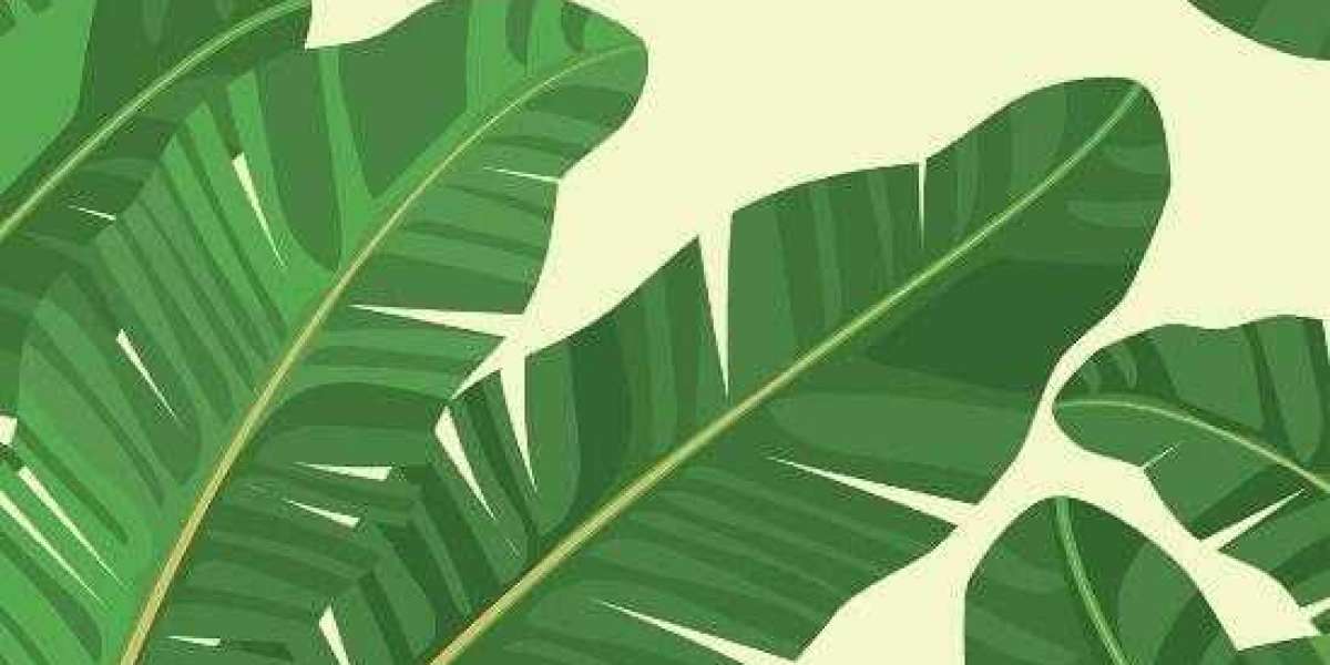 7 Types of Conventional Loans To Choose From