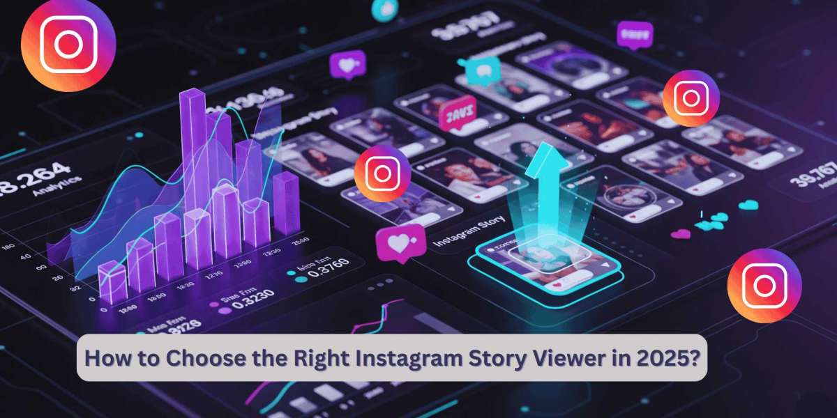 How to Choose the Right Instagram Story Viewer in 2025?