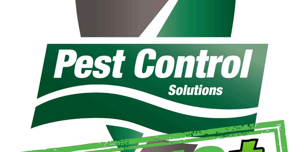 Termite Treatments in Dallas: Stop Damage Before It Starts with Jay’s Pest Control