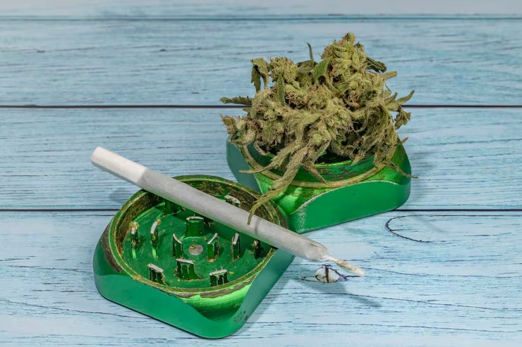 What are the best Cannabis Dispensaries in Albany NY today?