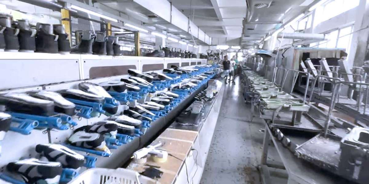 What is the importance of wearing safety shoes?