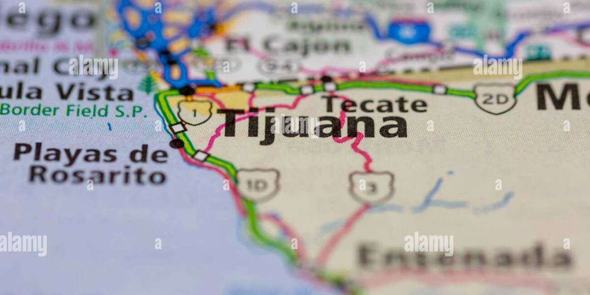 Success Stories of Businesses Using Web Pages in Tijuana