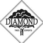 Diamond Tree Experts
