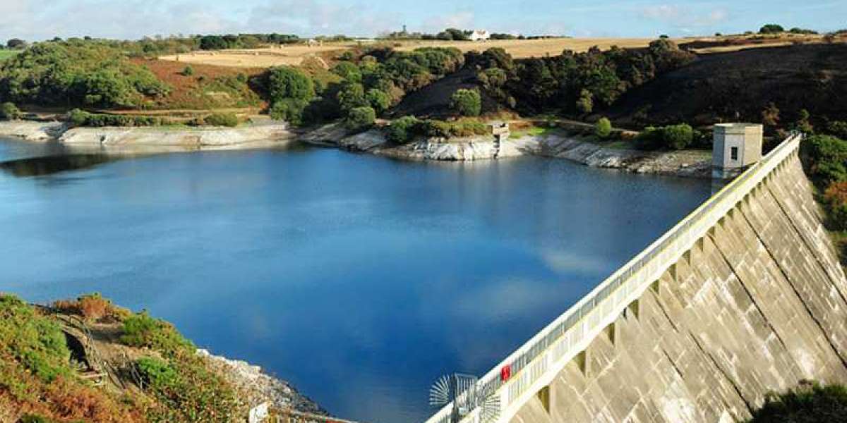 How Rika Sensor’s pH Sensors Improve Water Quality Testing