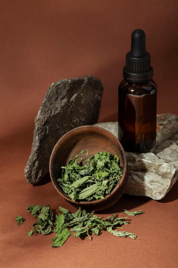 Best Weed Dispensary in Albany NY | Top-Rated Cannabis Shops &...